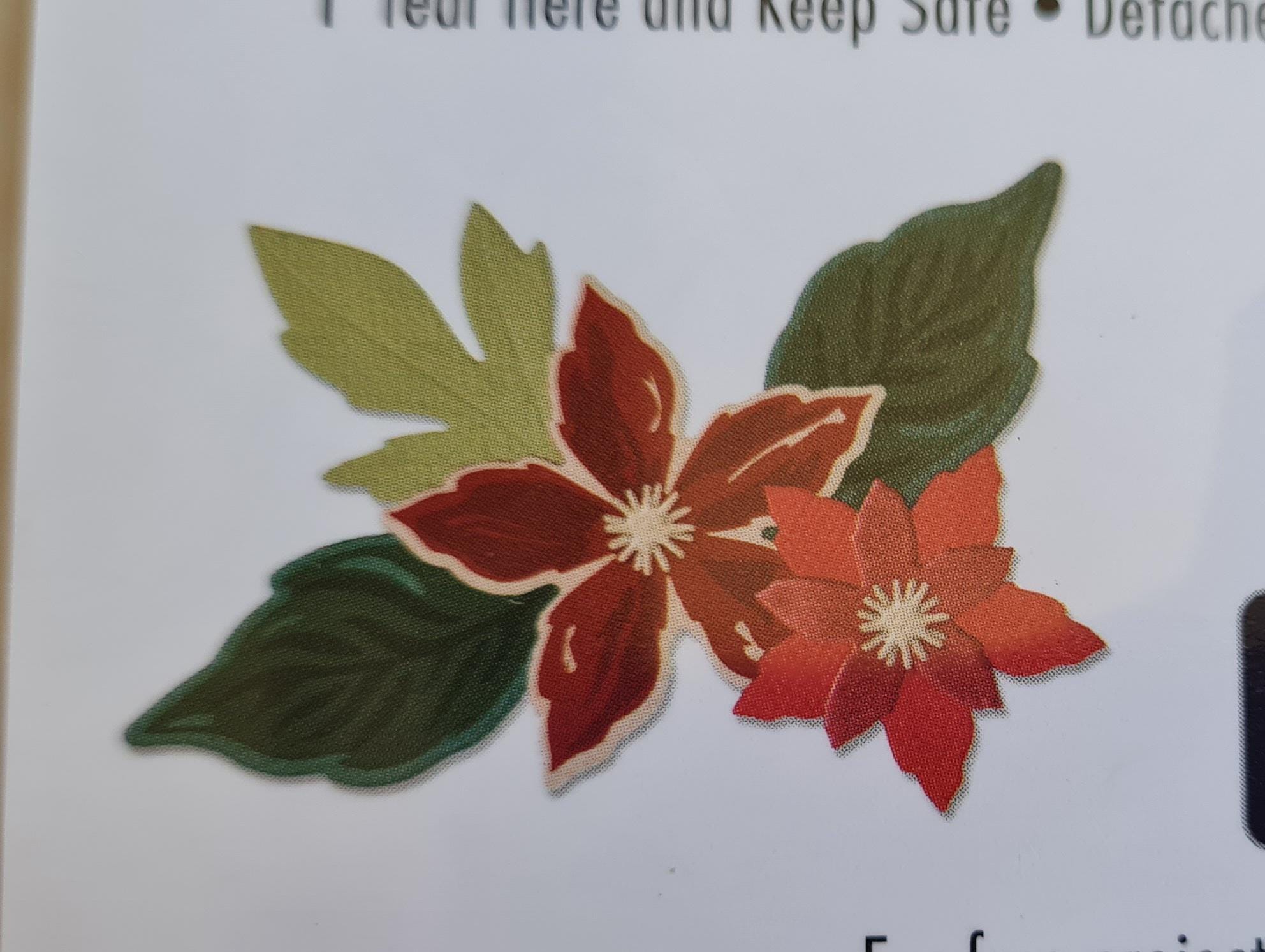 Seasonal Flowers - 6 Dies, 4 Stamps - Layered Poinsettia & Leaves