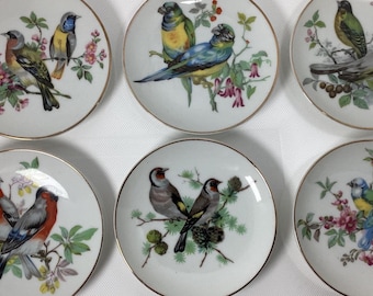 Vintage Set Of 6 A J S Giftware Colourful Bird Small Decorative Plate Dishes