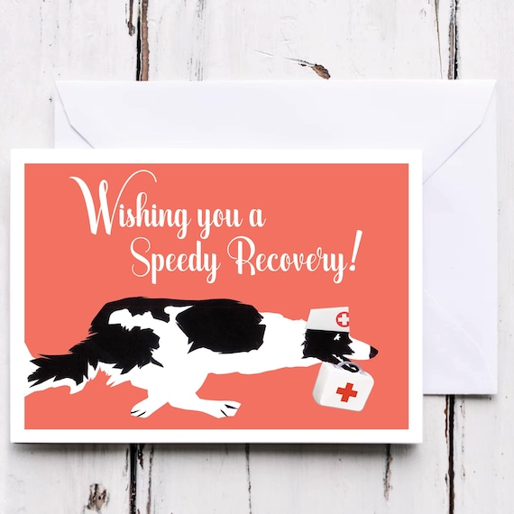 Wishing You a Speedy Recovery! – A Playful & Encouraging Get Well