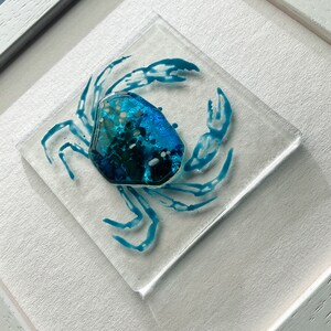 Little Blue - fused glass Cornish crab picture art handmade in Cornwall by Niko Brown