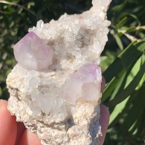 Large Amethyst Crystals on Matrix from Jackson Crossroads, Wilkes County Georgia, USA