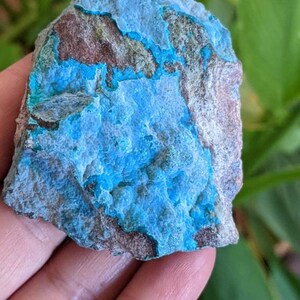 Chrysocolla snd Malachite Natural Raw Specimen