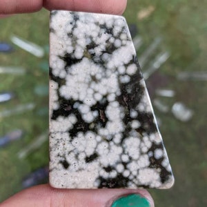 Ocean Jasper Polished Slab