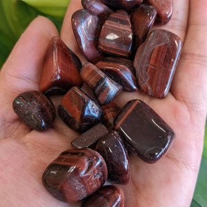 Red Tigers Eye Tumbled Stone