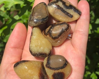 Septarian Tumbled Stone