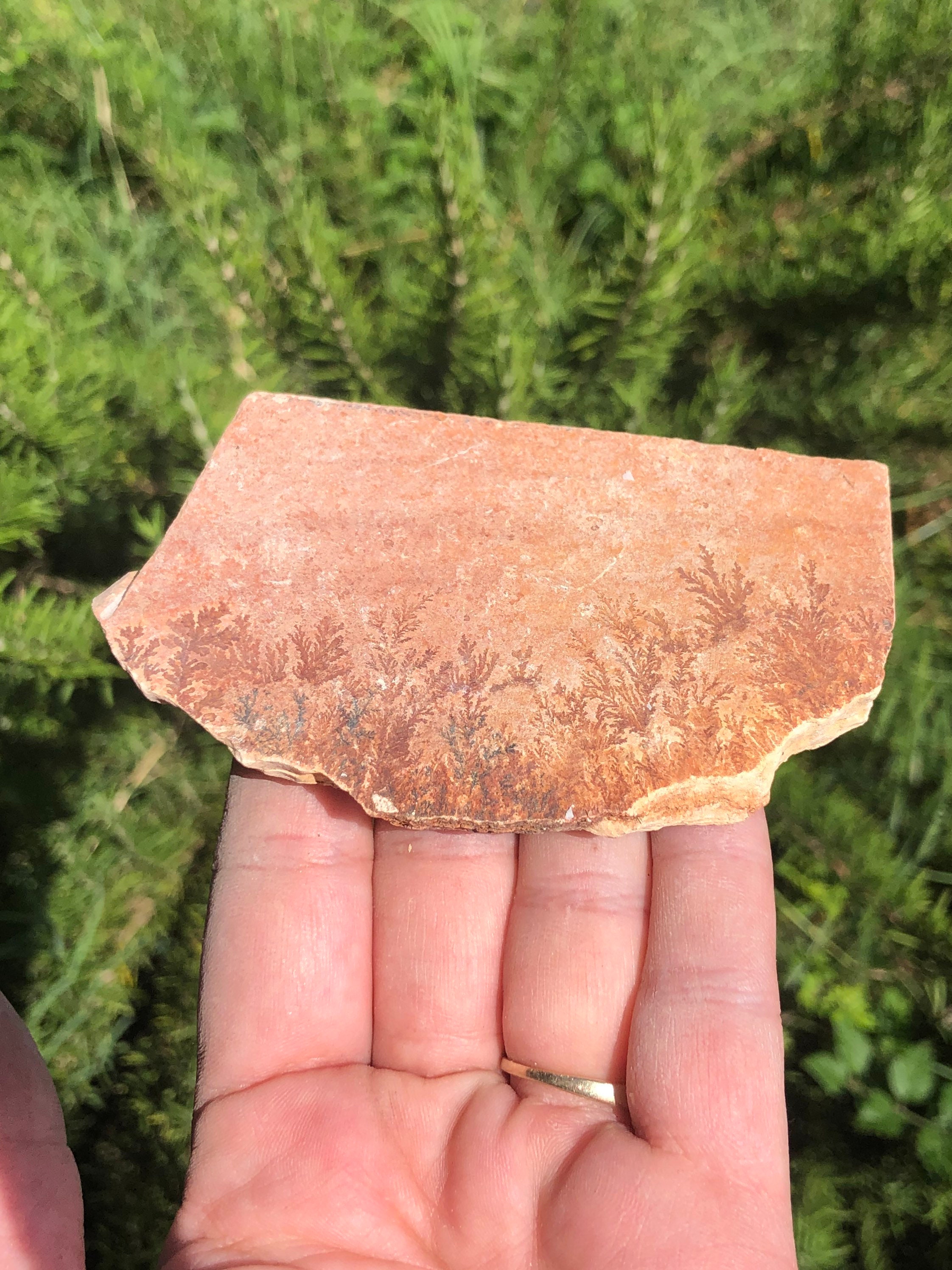 Dendritic Limestone print Stone Slab - Etsy