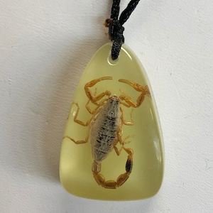 Glow in the Dark Scorpion Necklace