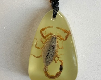 Glow in the Dark Scorpion Necklace