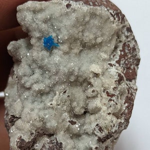 May include: A small, rough, brown rock with a white, crystalline coating. A small, bright blue crystal is visible on the surface of the rock.