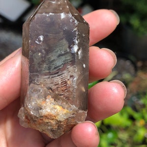 Natural Rare Christmas Smoky Quartz Crystal With Green and Red Phantoms of Lodalite And Chlorite