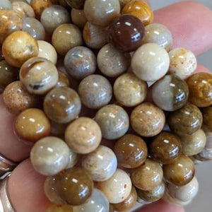 Fossil Coral Stretch Bracelet