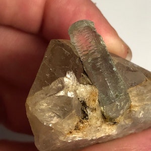 Gemmy Aquamarine Crystal coming from nicely terminated Quartz Crystal