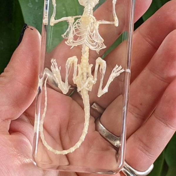 Real Mouse Skeleton, Preserved in Resin, Collectible Modern Fossil