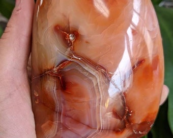 Big Carnelian Agate Polished Freeform Display