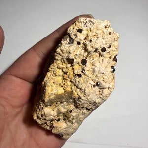 Red Spessartine Garnets on Quartz Matrix Large Specimen