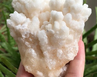 Standing White Aragonite Cluster from Morocco