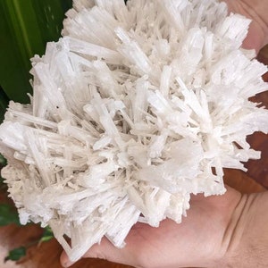 Riesige 7.3lb Scolecite Crystal Cluster