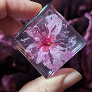 Peut inclure: Pendentif carré en résine transparente, contenant une fleur rose et blanche. Le centre de la fleur est rouge foncé avec un petit accent jaune. Le pendentif est tenu entre les doigts sur un fond violet flou.