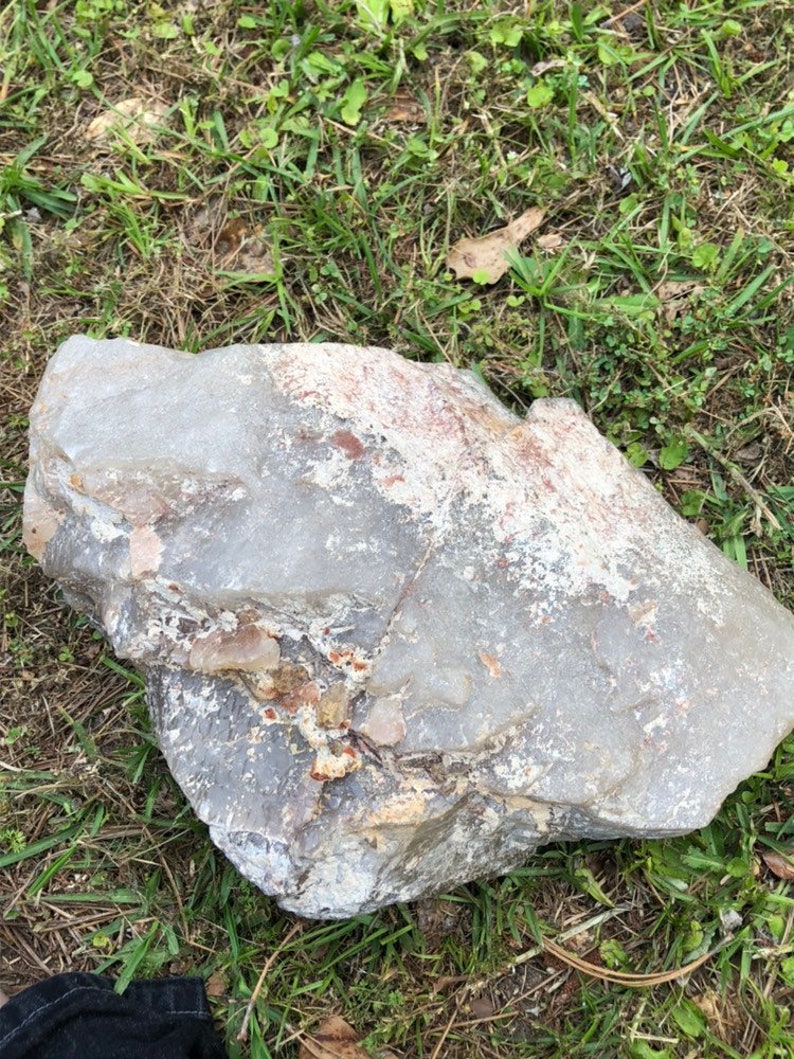 May include: A large, gray rock with white and brown markings. The rock is sitting on a bed of green grass.
