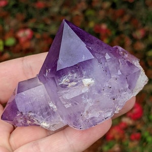 Jackson&#39;s Crossroads Amethyst From Georgia, Japan Law formation