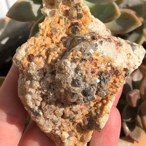 Red and Orange Spessartine Garnets on Sparkly Quartz Matrix with Smoky Quartz