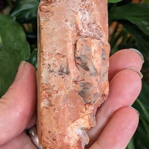 Große Enden Amphibole Quarz Kristall