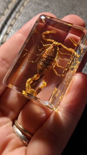 Scorpion En Résine Transparente - Presse-papiers éducatif Et Décoratif Pour Bureau Ou Collection