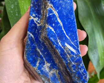 Big 2lb Fully Polished Lapis Lazuli Freeform Palmstone