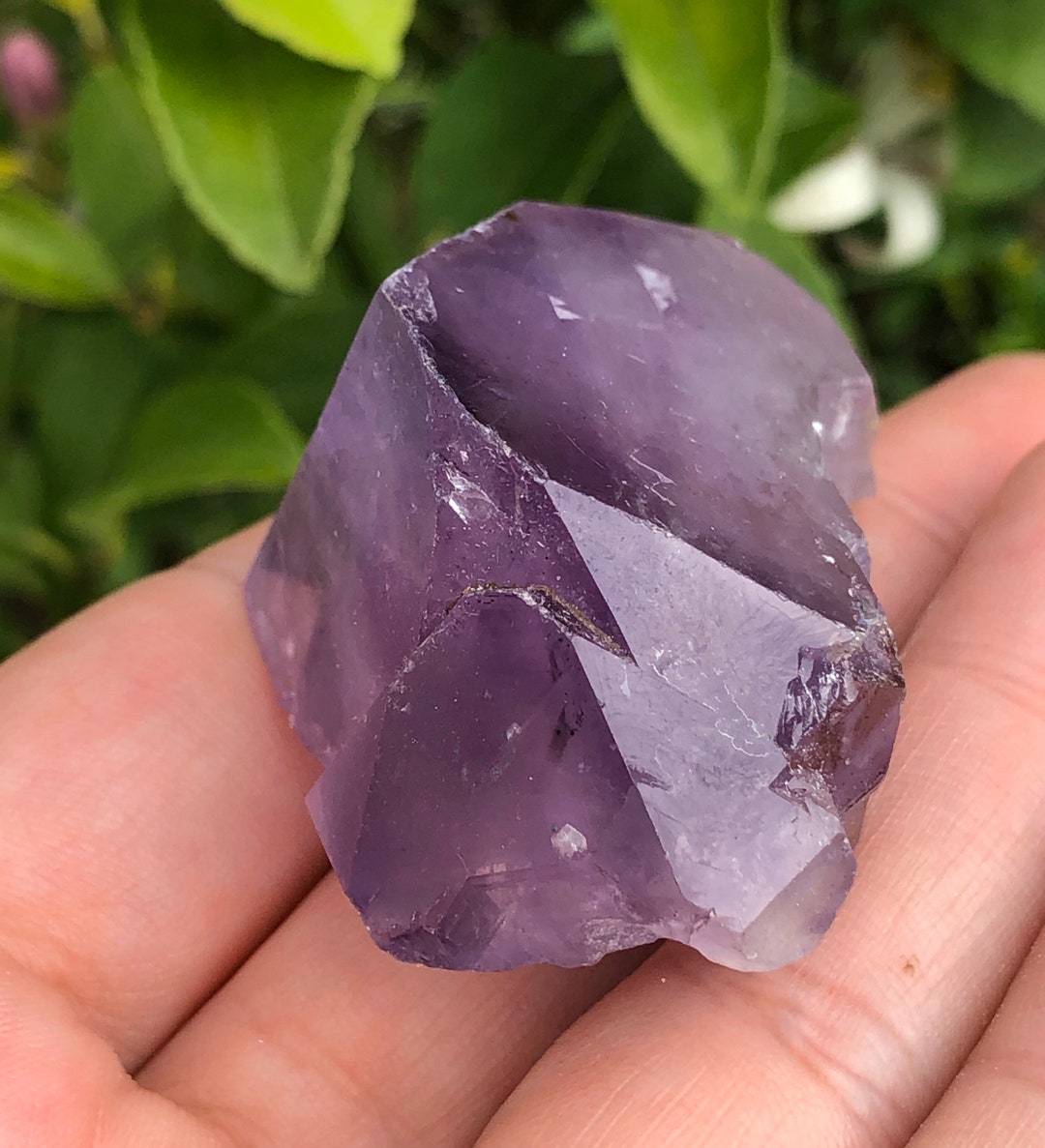 Amethyst Crystal Etsy