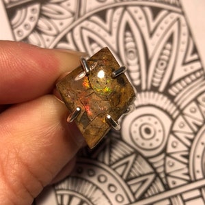 Colorado Ammolite Sterling Silver Ring