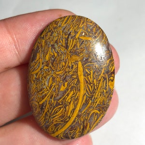 May include: A brown and gold oval cabochon gemstone with a swirling pattern. The stone has a polished surface and is set in a bezel setting.