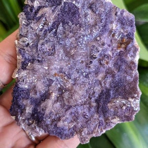Selenite covering Purple Fluorite Sparkly Cluster