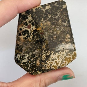 Ocean Jasper Polished Slab