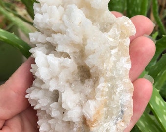 Standing White Aragonite Cluster from Morocco