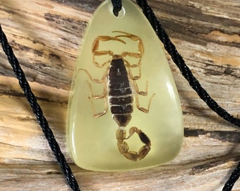 Real Scorpion Glow in the Dark Necklace