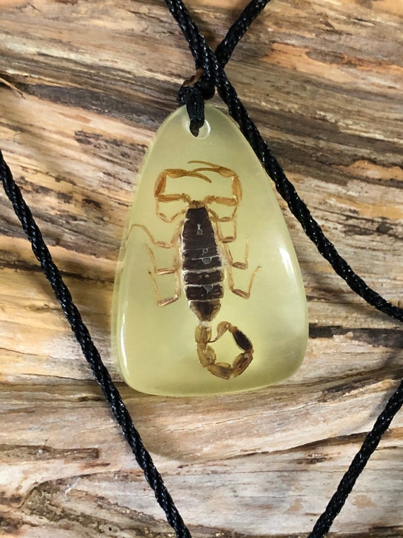 BicBugs scorpion heart shaped necklace black gold