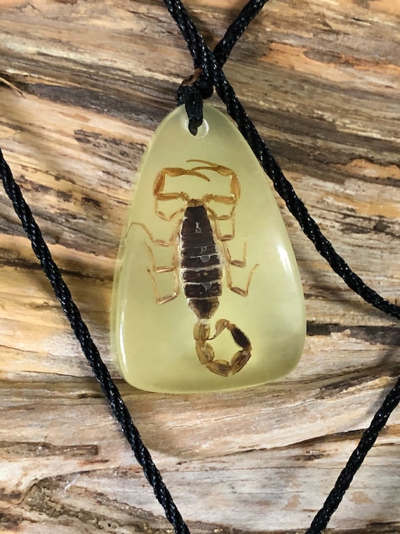 Real scorpion hotsell necklace