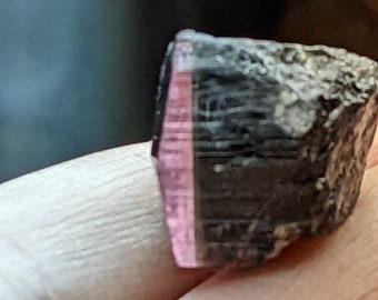 Pink Capped Tourmaline Crystal 5.3g