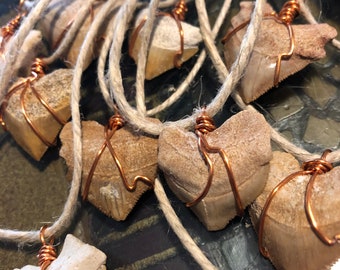 Shark Tooth Wire Wrapped Pendant (1)