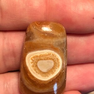 Kokoweef Cueva Onyx Cabujón pulido