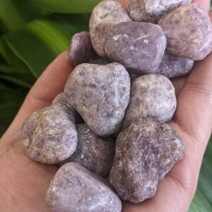 Lepidolite Tumbled Stone