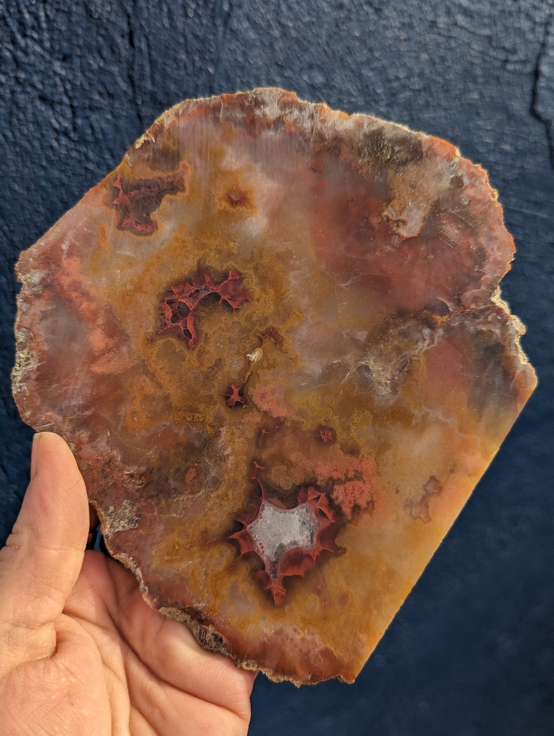 Huge Paint Rock Agate Slab, Alabama Etsy