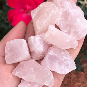 May include: A collection of raw rose quartz crystals in various sizes and shapes. The crystals are a pale pink color and have a translucent appearance.