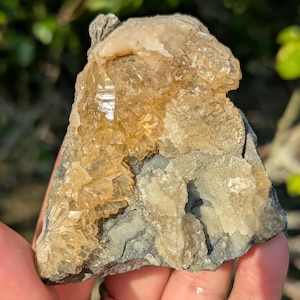 May include: A cluster of light brown calcite crystals on a dark grey rock. The crystals are translucent and have a glassy lustre.
