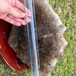 May include: A large, clear quartz crystal cluster with a ruler for scale. The crystal is approximately 30 inches long and has a brown, smoky hue.