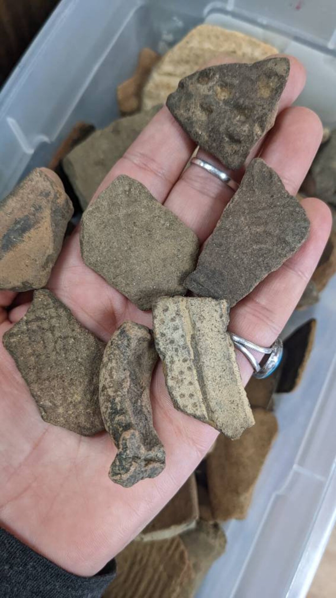 Native American Pottery Shards, Alabama Etsy