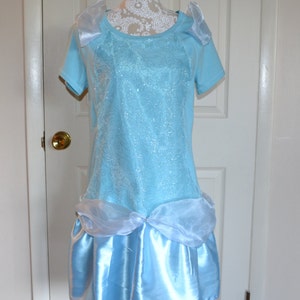 Cinderella Inspired Running Costume