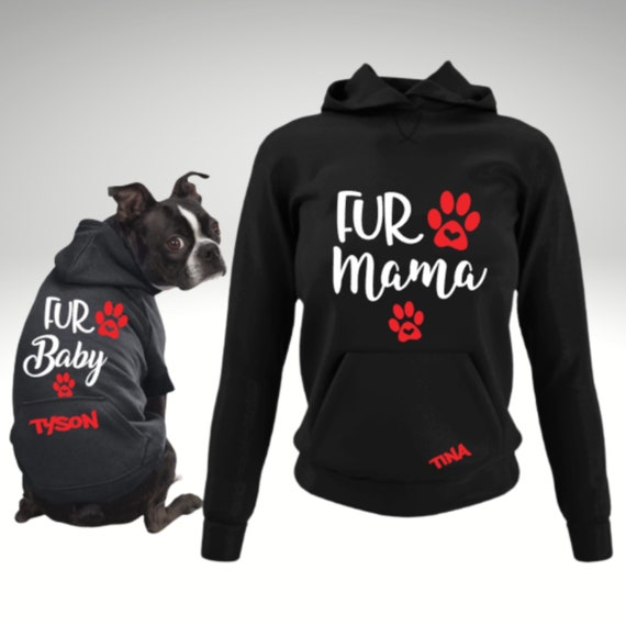 leash aggression training cesar millan