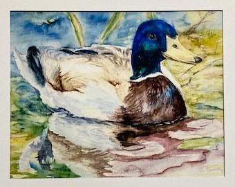Mallard Duck Fine Art Print  Mat Board Original Watercolor by artist