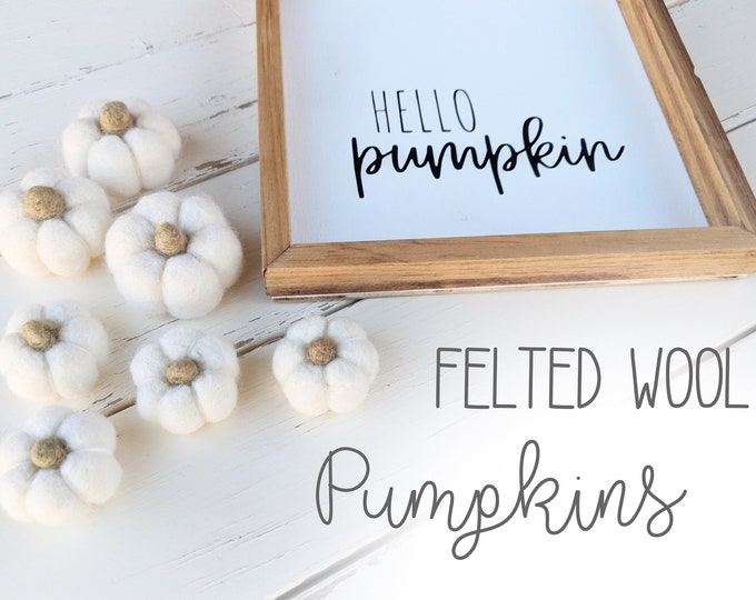 Individual Felted Pumpkins : Felted Wool pumpkins